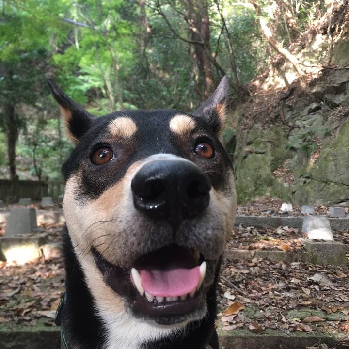 B9364ecc 56a5 439a 8313 5e8a1bbf8d08 1543282651161