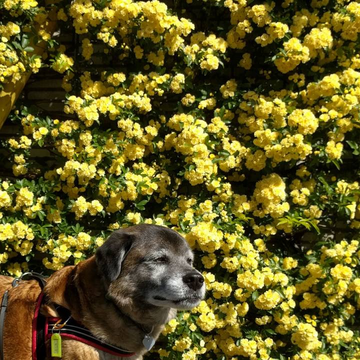 B93661fb c158 40f2 b702 49e542977567 1634172182287