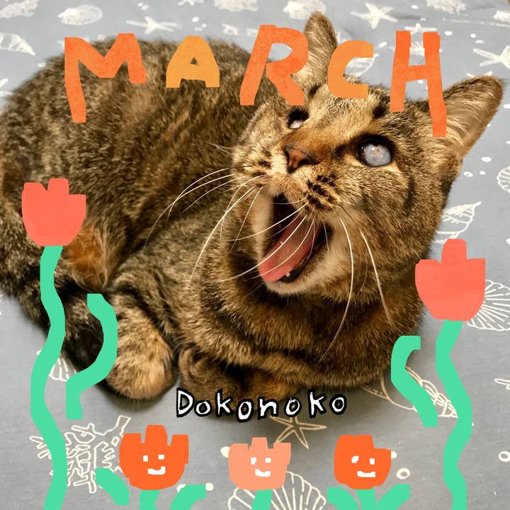 B9366317 bc1a 4667 a189 d3704d967a88 1741149466588