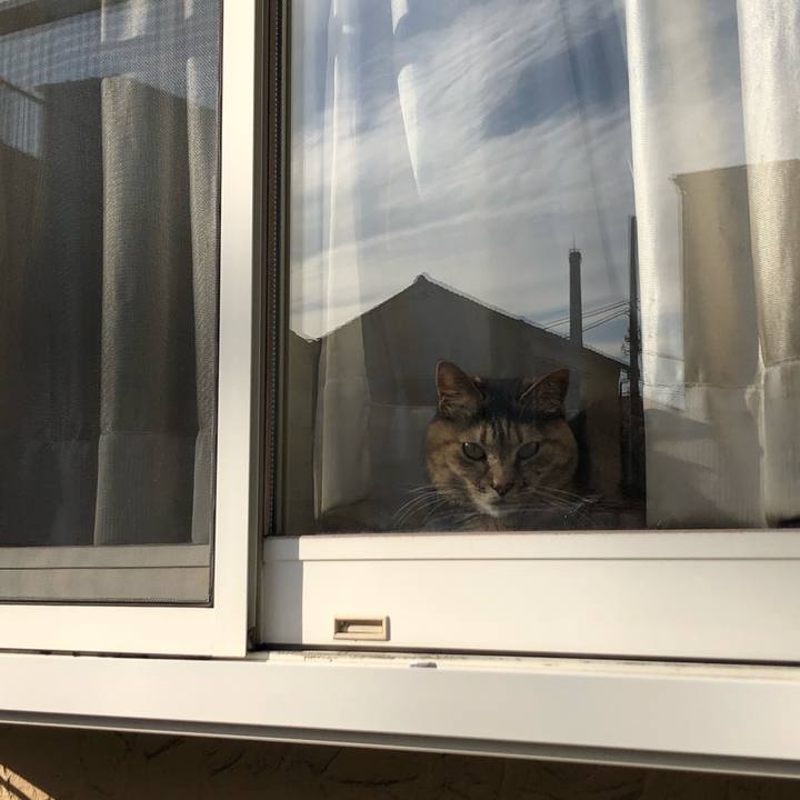 B9366ab3 4a66 4e8f 9906 2c249d6f847f 1583804572238