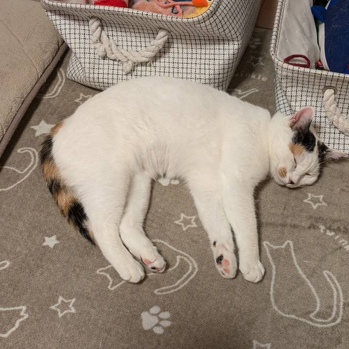 B9369703 6d31 43d2 800b b9c14613ee36 1729508933654