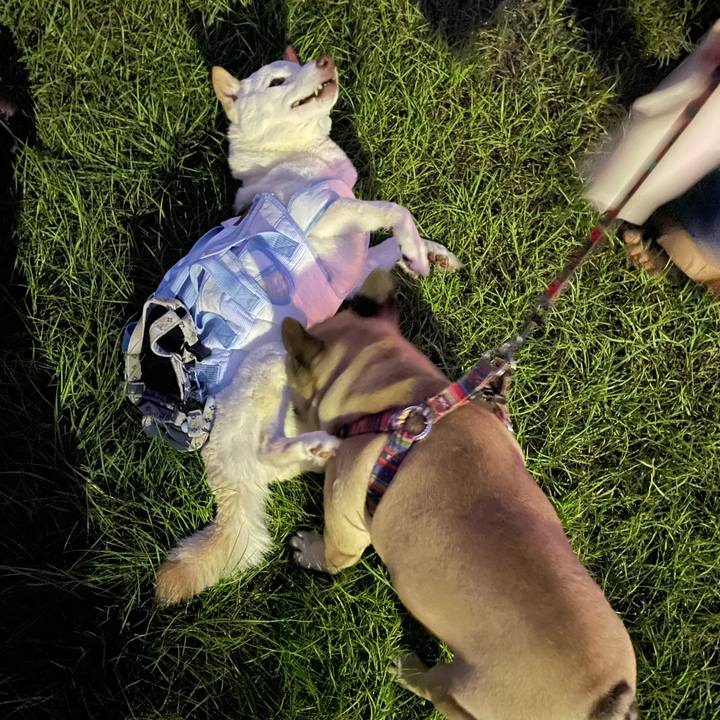 B936a0fe e3df 4a77 af99 130b78b87e66 1661347356896