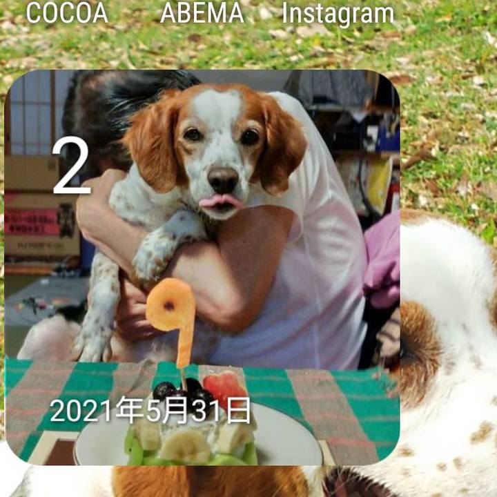 B936b67b 0b7e 46b9 a473 88c1ca8ac2b4 1654125256181