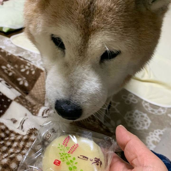 B936e1d0 db4b 4808 9481 60257f5ebae0 1670943963979