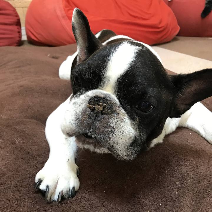 B9371864 f2a4 4196 8504 aad6f01a26fb 1513922446889