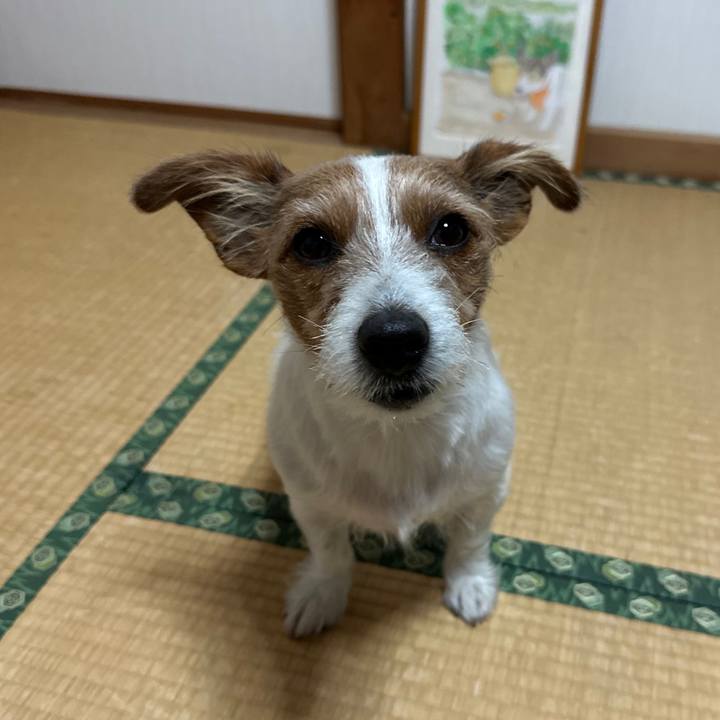 B9371ef7 1c34 4929 b0f0 f149e770bf0b 1762890215346