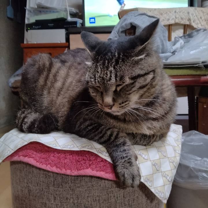 B9373042 2dcc 488a be2b 32b2eadcab9c 1721823511472