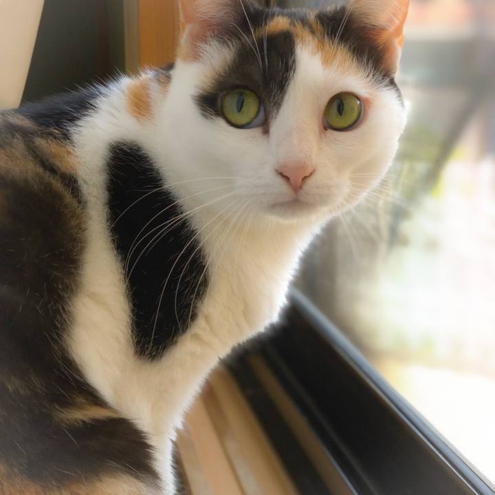 B937569d f5ed 4306 ab7a 172d9565070c 1560992732623