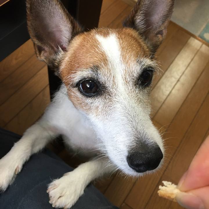 B93790d9 1b43 4cce b6fc 4acb556b2dc2 1634772492222