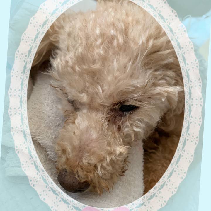 B9379b8a 9b8f 48b7 a38d 499bec01864b 1631317252277