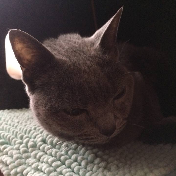 B937c1a3 f6df 4b89 a071 61b8ab885cc7 1548110137806