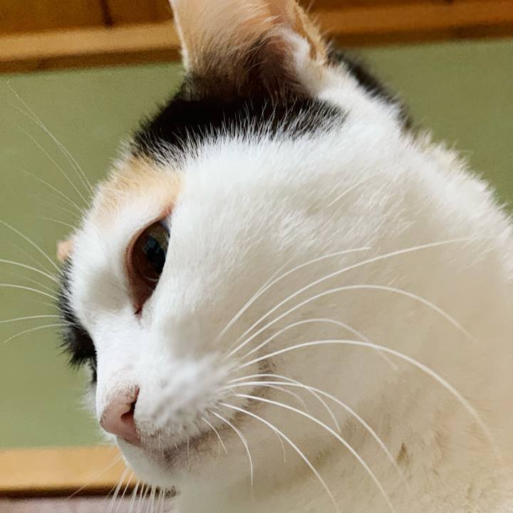 B937d388 352a 4a8f 819c a24ec3b8ee46 1544492015386