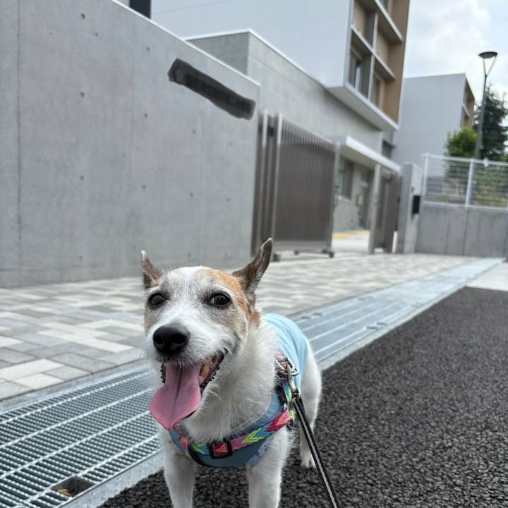 B937d6fe b2ac 41c3 8c66 24ea6e7a2964 1752882469280