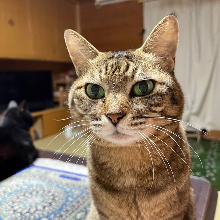 B937fddb 13f1 454e a149 a4f51f03673e 1705655358348