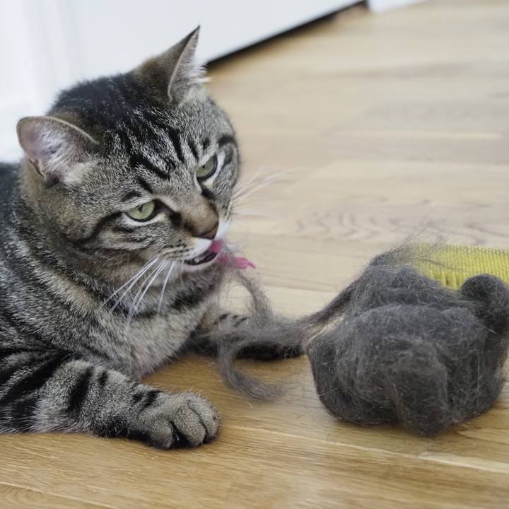 B9382f2b fe26 442a b5fb 5e8bdd38fea7 1623298290388