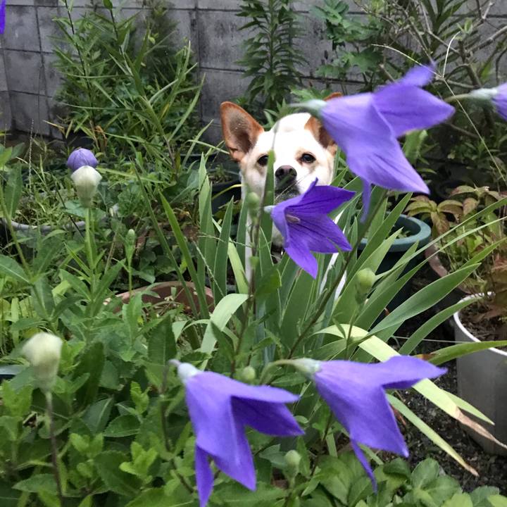 B938a673 dc95 4af6 aca7 6bc7c59513aa 1593574785226