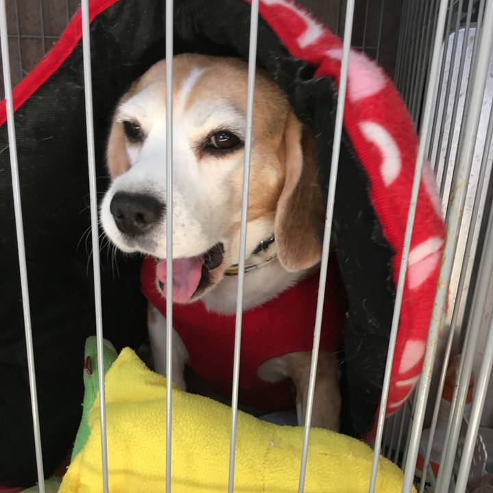 B938be20 5d17 4657 af1c 1a50cc0a2db9 1734490925387