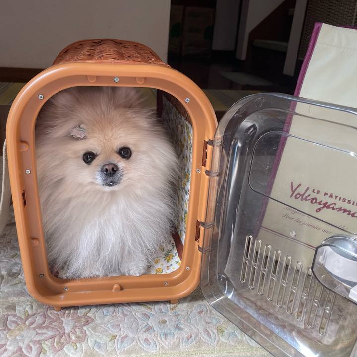 B938c750 2041 4c65 b4ce ba55bd4d83e1 1647736216346