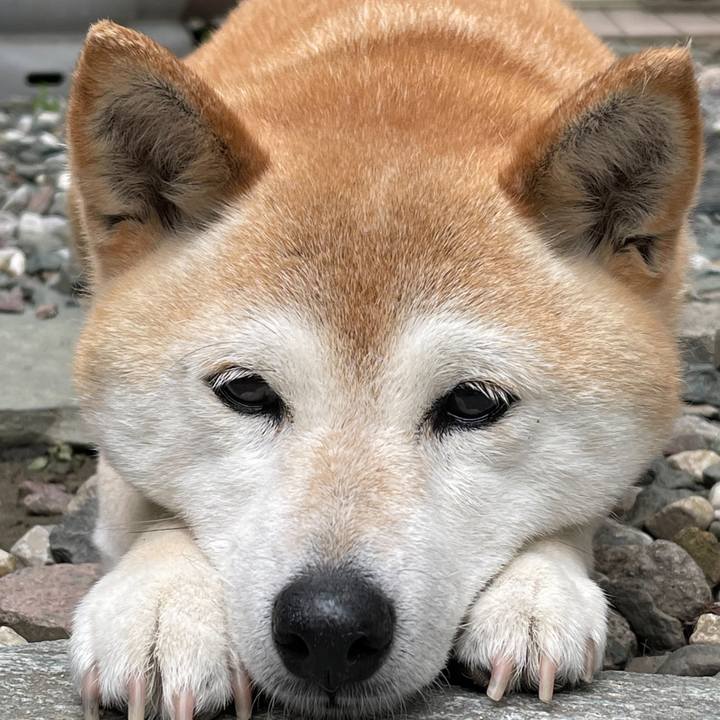 B938f626 2410 46ec b28f ae727581da47 1625403600359