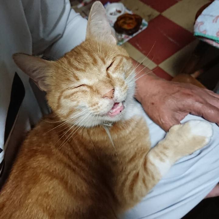 B9390116 75b8 496f 945f 71c3d25a3bbc 1594814188088