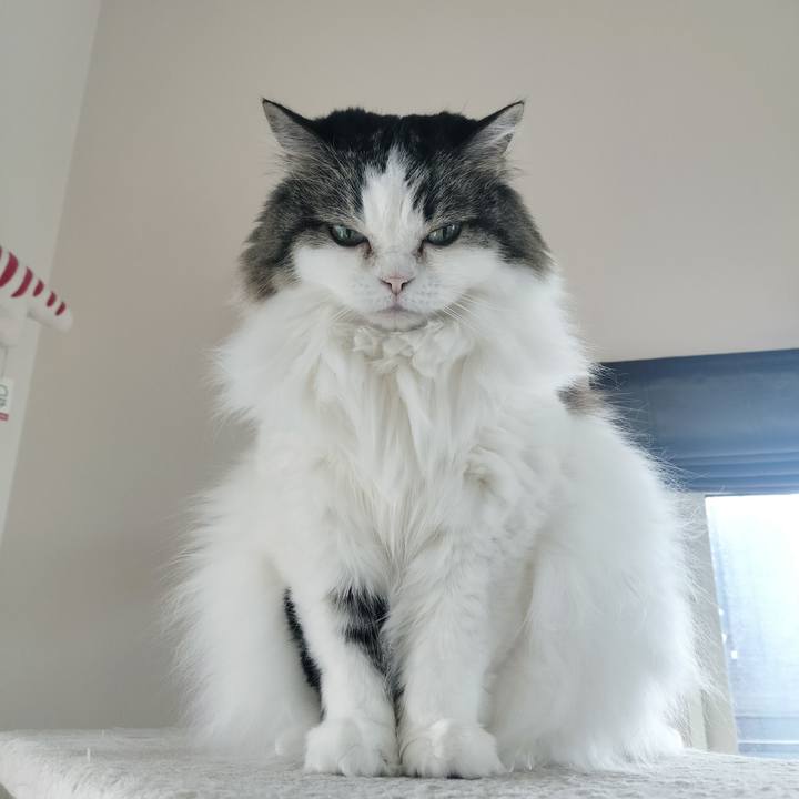 B93903d5 eaad 43de b49d 6aec14191573 1776224013866