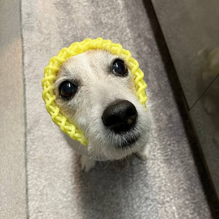 B9390b28 2eae 47d2 8607 87e836e65569 1736379448576