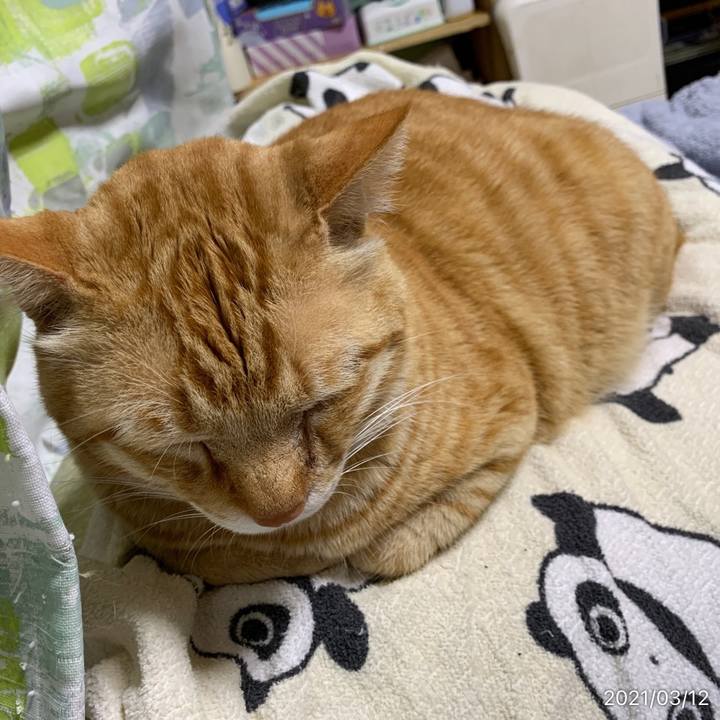 B9392f9e f80c 4afb a44c 31de01f92849 1615555830728