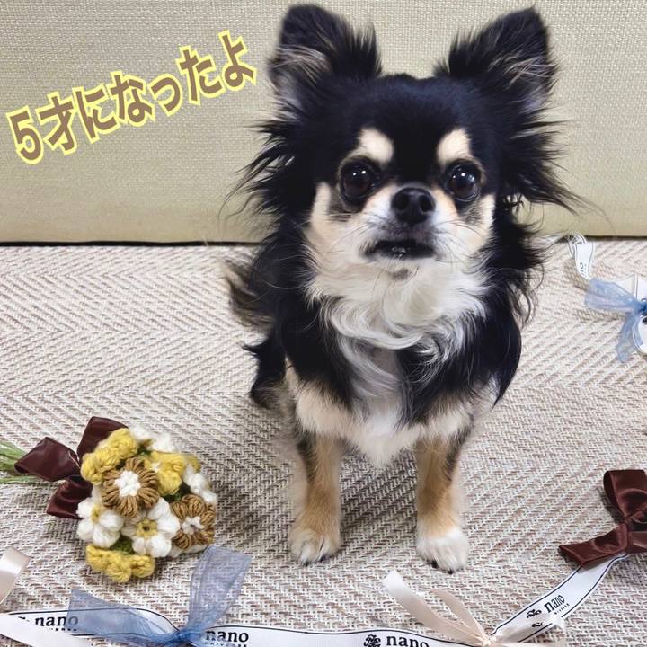 B939345f 0178 422c 8263 320ddc97cdf9 1686169974591