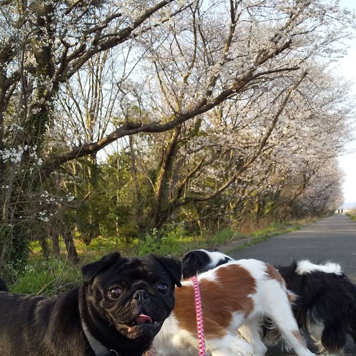 B9393ba0 0343 4c05 9ade 2a0c414b3958 1585902761063