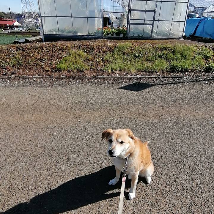 B9393d04 3d96 479d 83d2 da09f77336d5 1581932661587