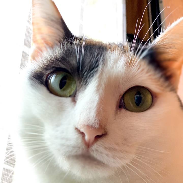 B93946e7 68be 460d 9e14 59006c1735f3 1539048535699