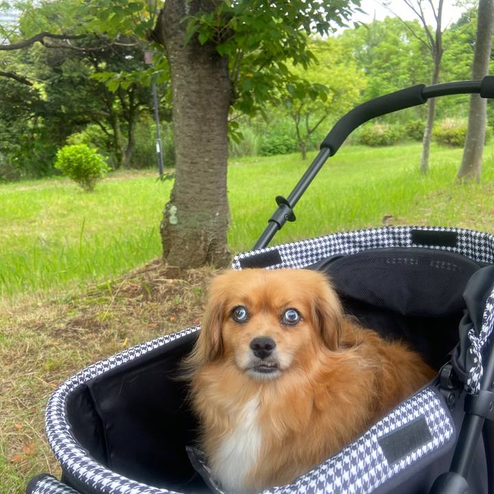 B9397167 4c7c 457e a615 a7c61524960e 1623706729446