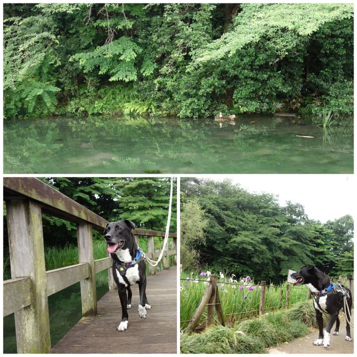 B9397f8a e69c 4e0d a55b afeccd70f191 1654910831477