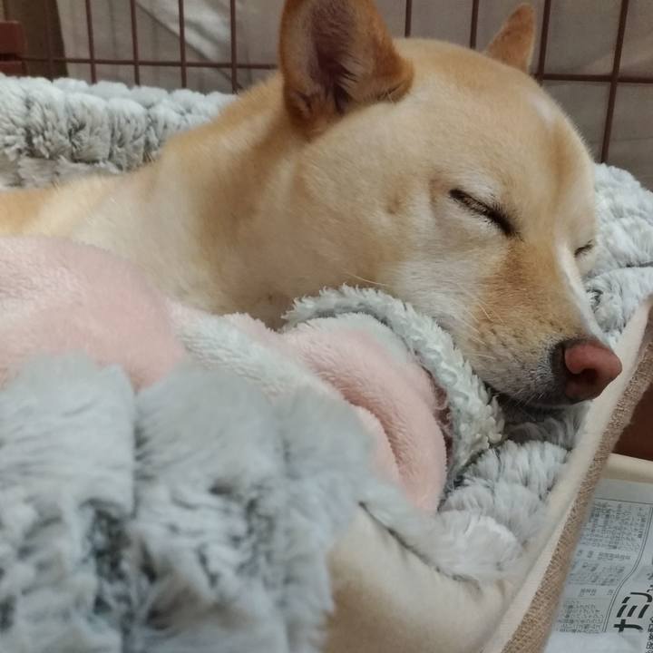 B939c86d e419 49ed 8ece 8233480c12c2 1583063376201