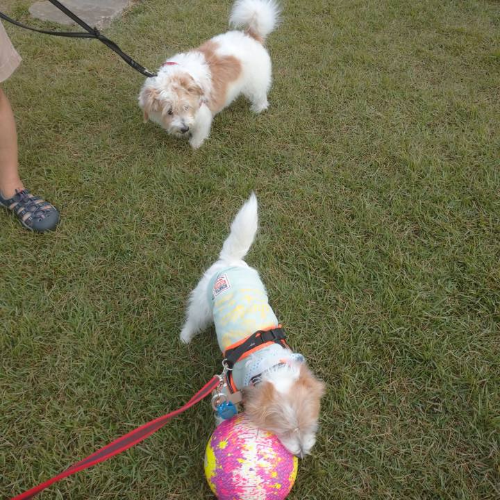 B939e8a3 9457 4fc9 a31a ded9cbcbe693 1756333393628