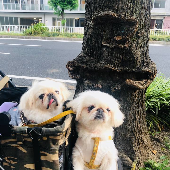 B93a3c14 20c6 4ade 84ff bbf9041f77d7 1597525754108