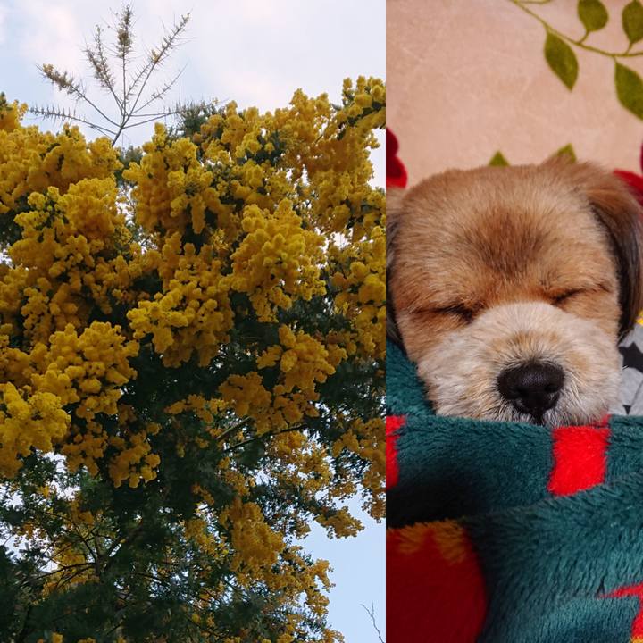 B93a4903 bbbb 4b0c bd73 4d45ed7b6cc3 1552475205965