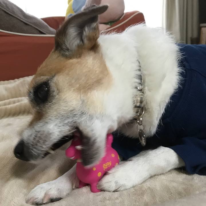 B93a4d56 c4b2 4228 9adf c10f05b780f7 1587182193432