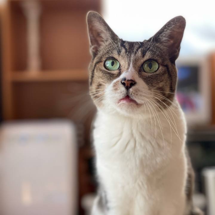 B93a6349 406e 4f78 9e50 a44dbea65499 1643249539610