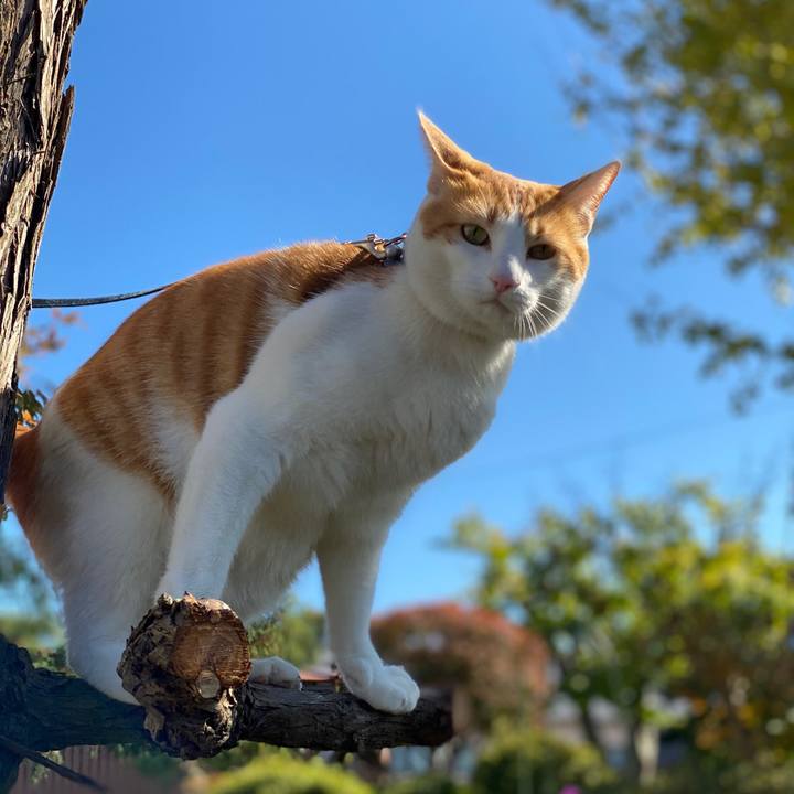 B93a667d aa76 45e2 a510 5d4f31535931 1572842691432