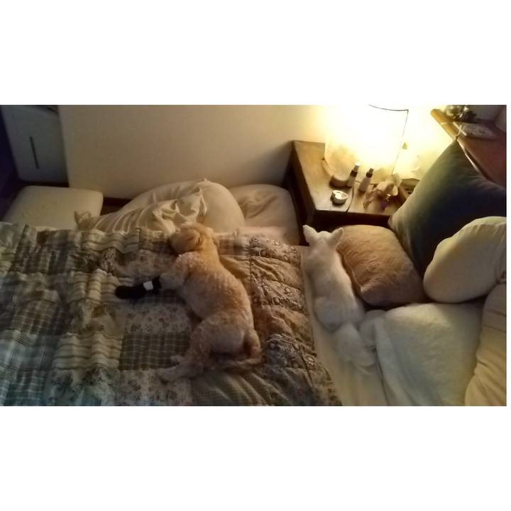 B93a83b3 23a1 43b2 9610 504342ceb2ec 1626352302816