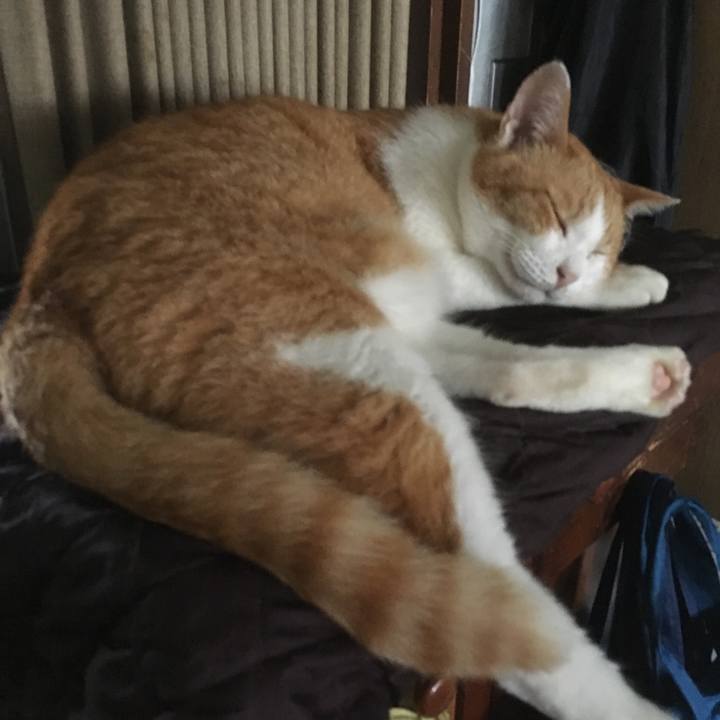 B93a90a0 ab05 4c18 8086 30a1f43e6cc9 1553514809784