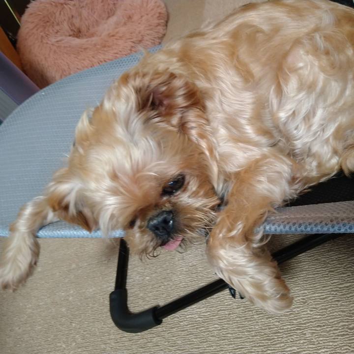 B93a924d 36ce 48e6 a26d 14fe51b11e95 1628562975380