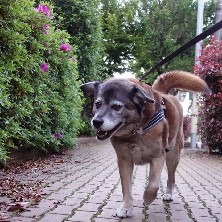 B93ab749 be72 4fb6 8d7c 35d454899591 1556793457582