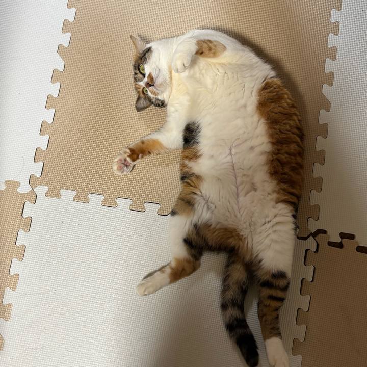 B93b28d2 a3b0 4393 90f7 18c7fd4c2c03 1738833592923