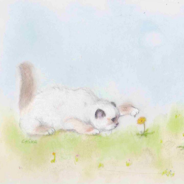 B93b3d16 f393 4261 b115 f91481e1fb9c 1583468845601