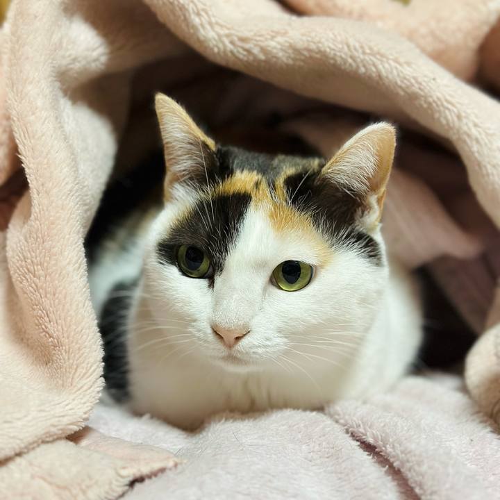 B93b4d88 1616 4bcd 85f7 2910dbab4ce5 1674177115393