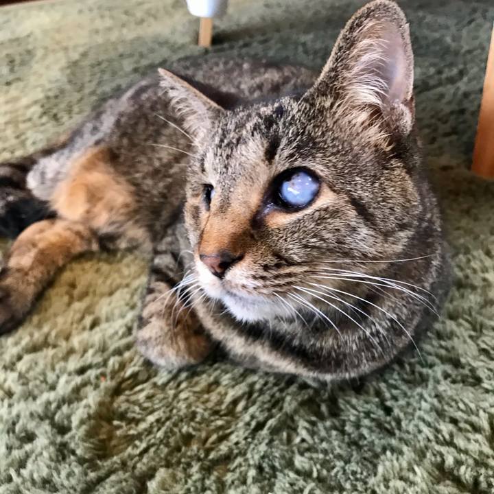 B93b5d59 6b36 4c69 aa83 5a74433bc139 1621949223799