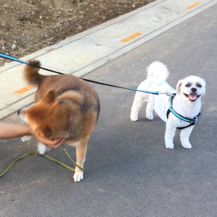 B93b81fa 496e 4b43 8a6e a78dc00693a3 1564219938250