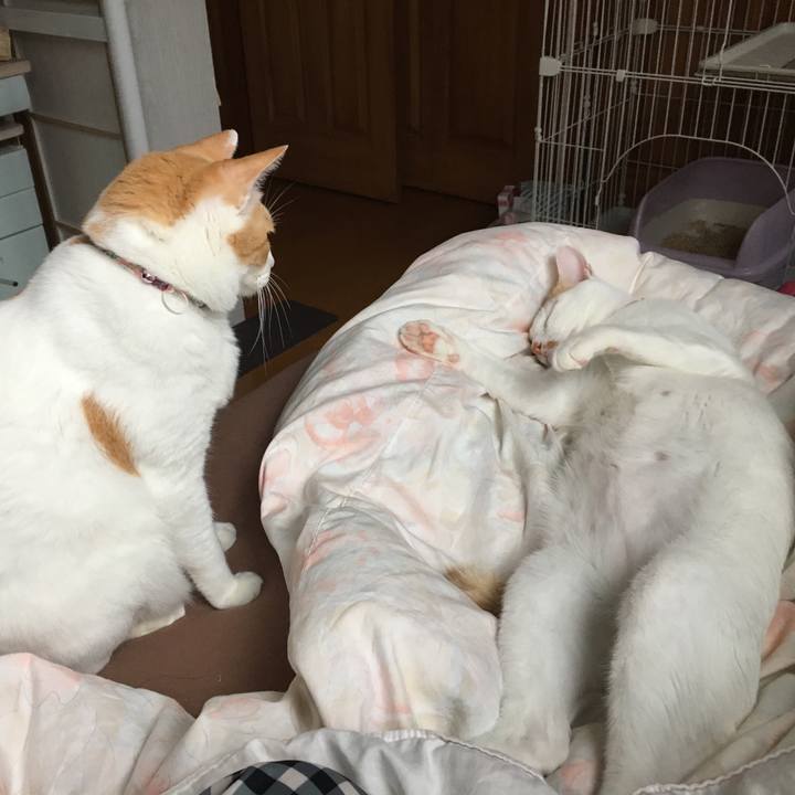 B93bbd65 a995 4716 b49c 11473aeb169d 1538263687833